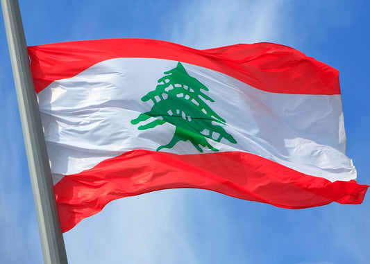 How Improving Bathroom Posture Can Boost Well-being for Lebanese population
